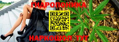 мяу мяу мука Севастополь