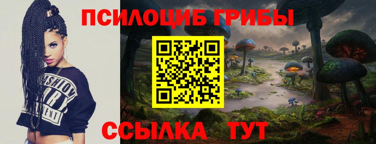 Богданович  Псилоцибиновые грибы MAGIC MUSHROOMS  Вход с VPN 
